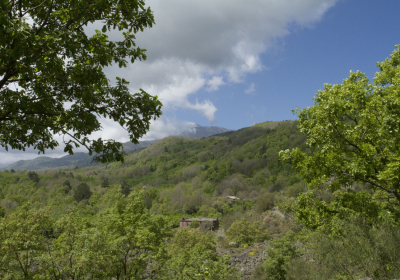 Agriturismo Dimora storica Viola Nel Parco